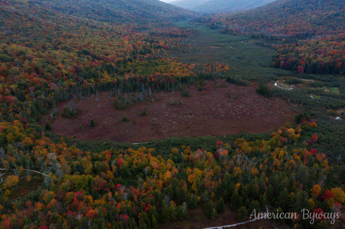 Cranberry Glades American Byways