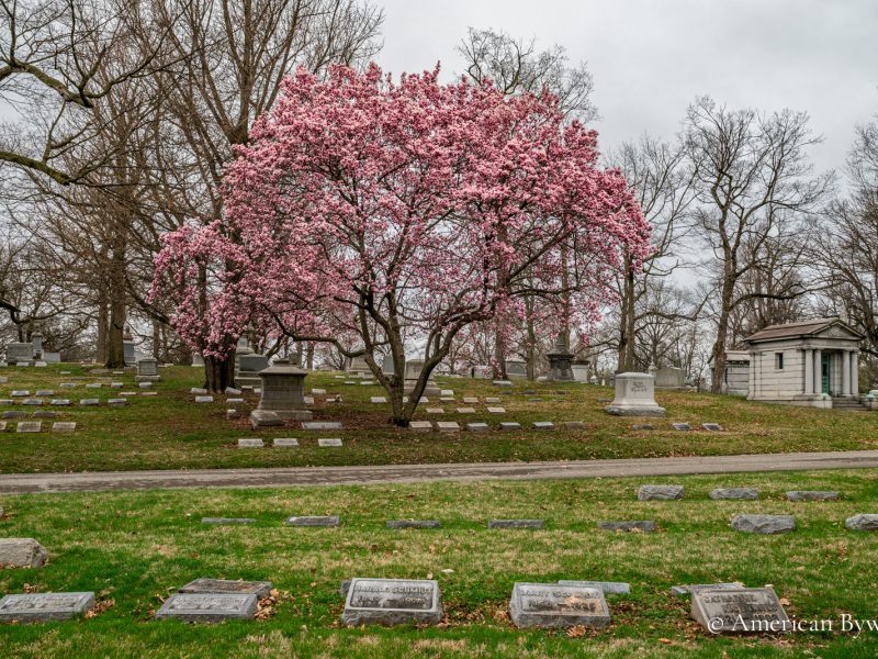 Crown Hill Cemetery
