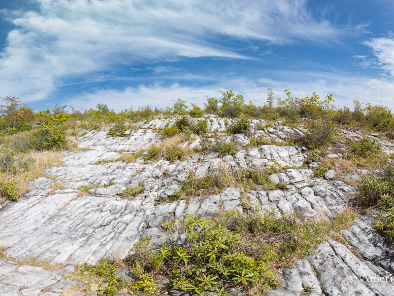 Yellow Creek Natural Area