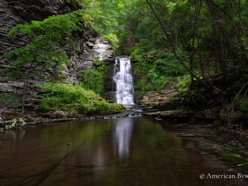 Johns Creek Glen